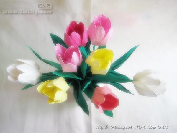 ˮµֽ㡤origami tulips