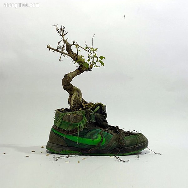 NIKE ЬDIY ƯС