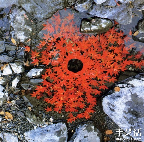 Andy GoldsworthyĴصƷ