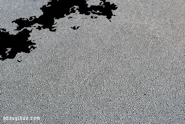 ձ Motoi Yamamoto λ