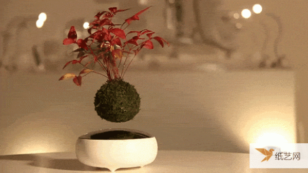 ҿ϶ûAIR Bonsai Ưϵʽ辰