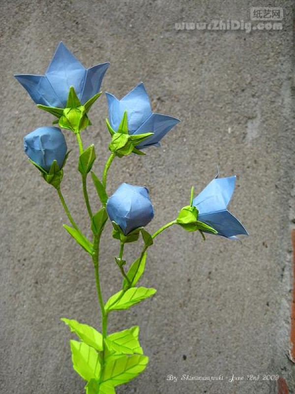 ˮֽƷֽ۹Origami Balloon-Flower