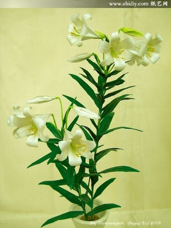 ˮƷֽ⟳hٺϡEaster Lily by Origami