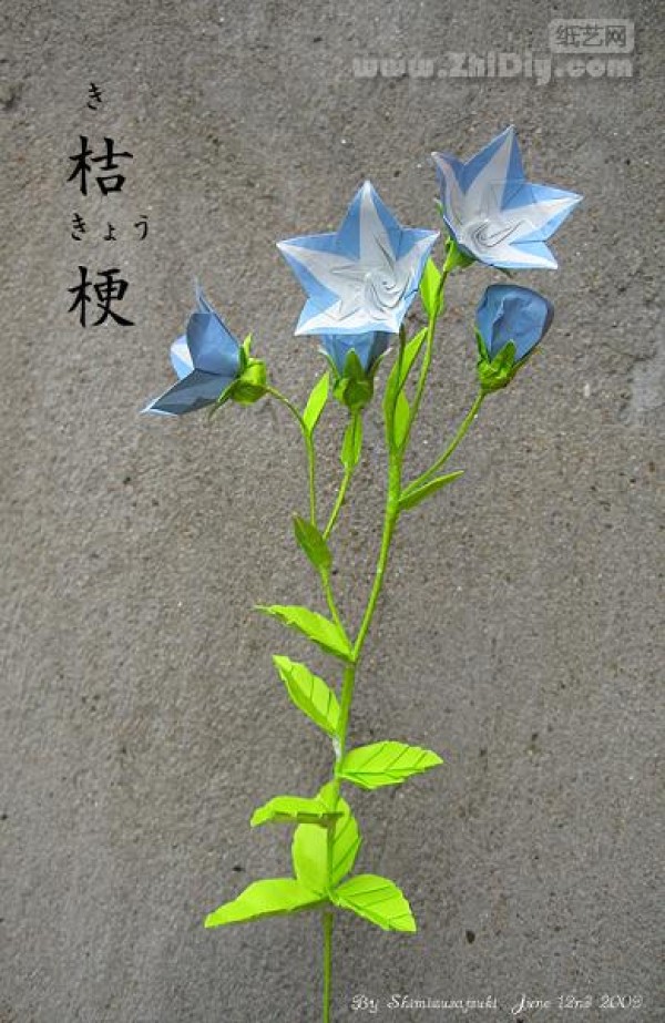 ˮֽƷֽ۹Origami Balloon-Flower